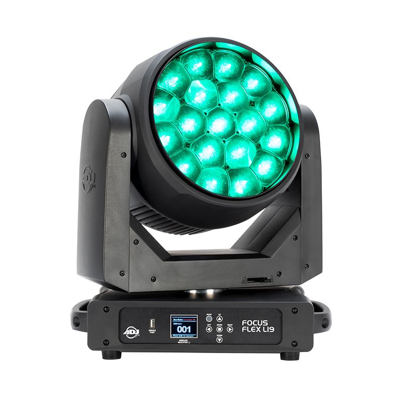 Focus flex l19